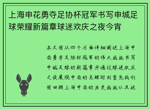上海申花勇夺足协杯冠军书写申城足球荣耀新篇章球迷欢庆之夜今宵